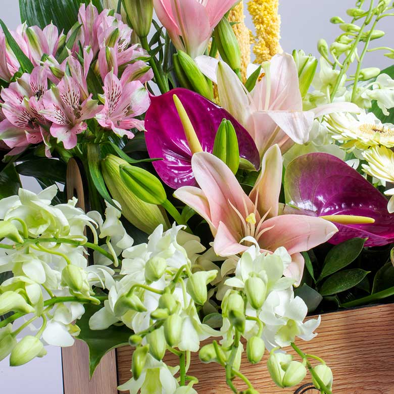 product-image-10663