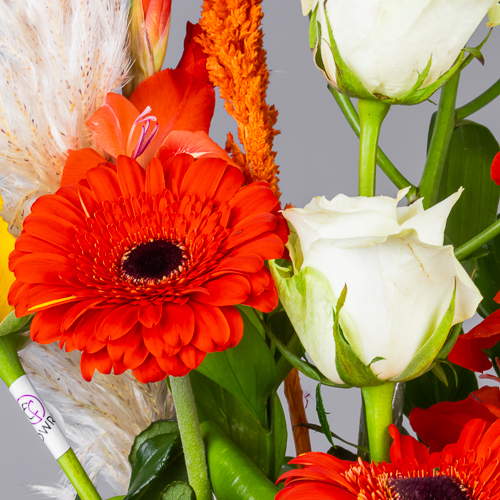 product-image-263