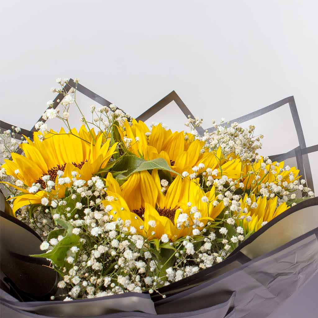 product-image-447