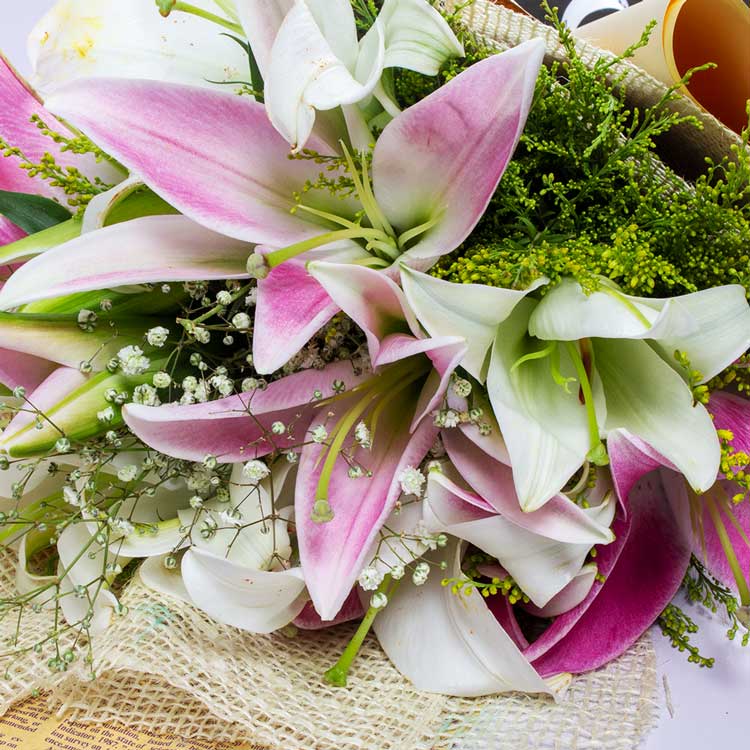 product-image-10617