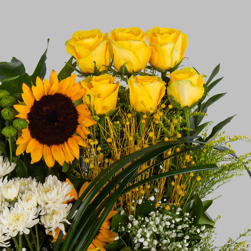 product-image-11608