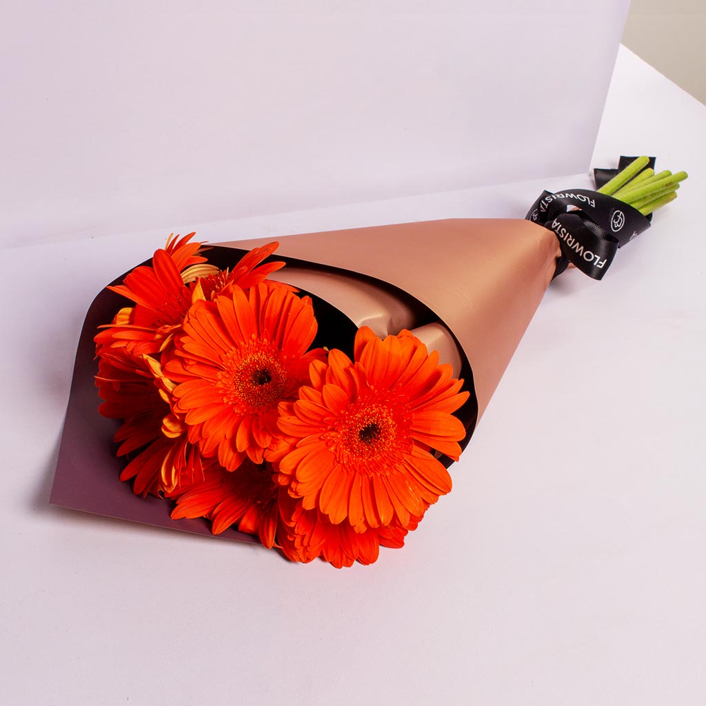 product-image-420