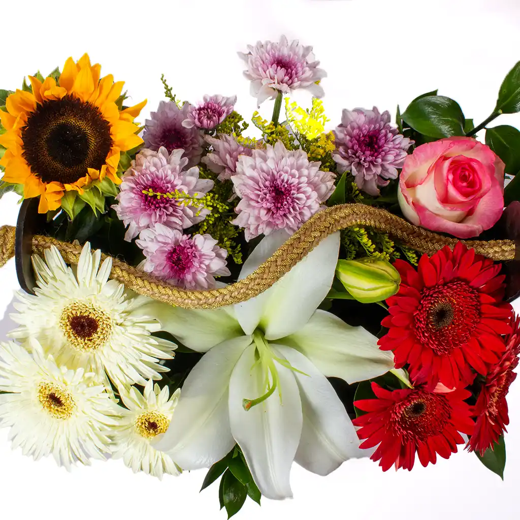product-image-10553