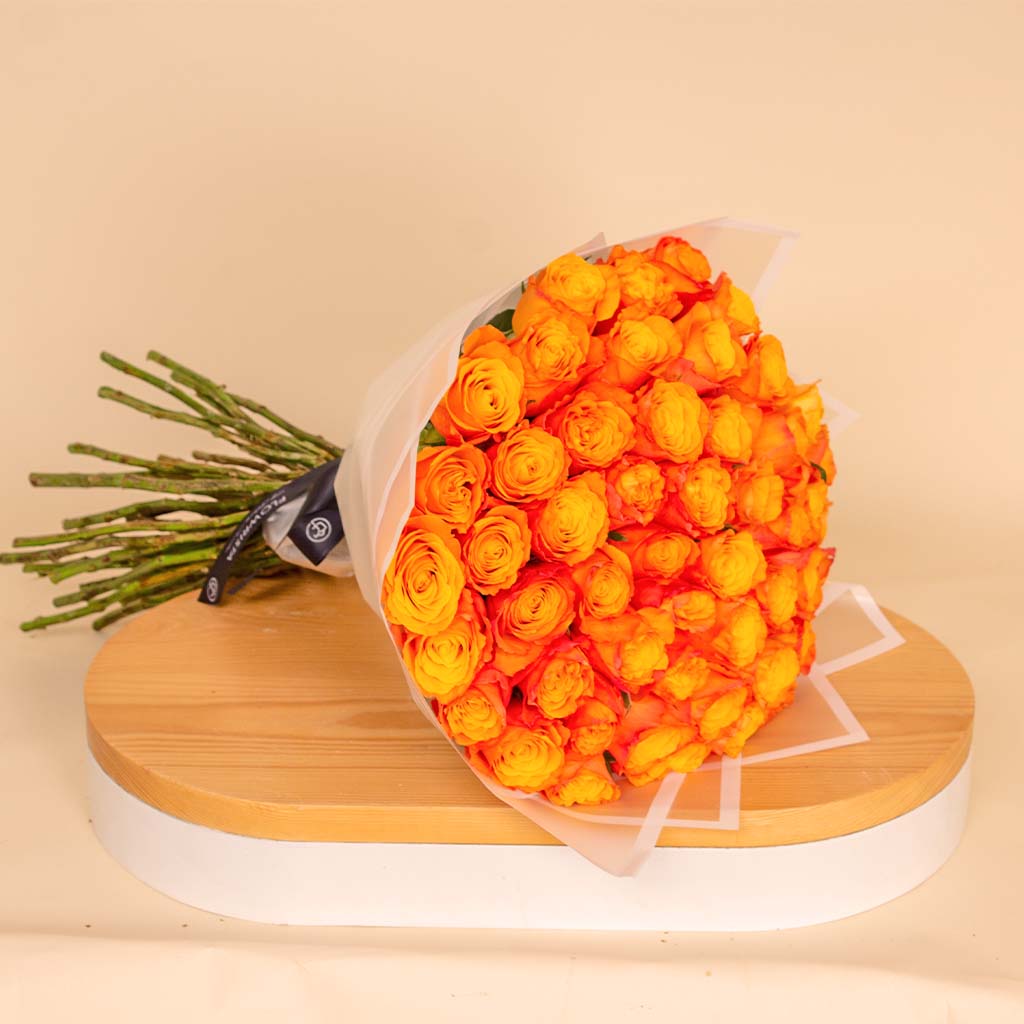 product-image-13812