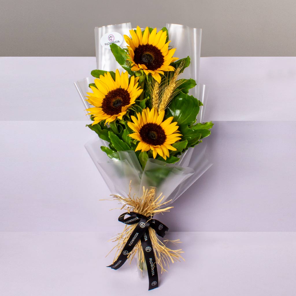 product-image-500