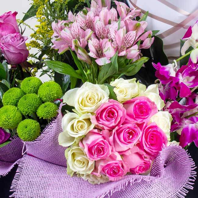 product-image-10707