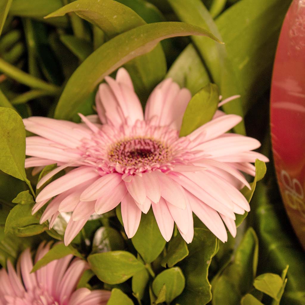 product-image-13814