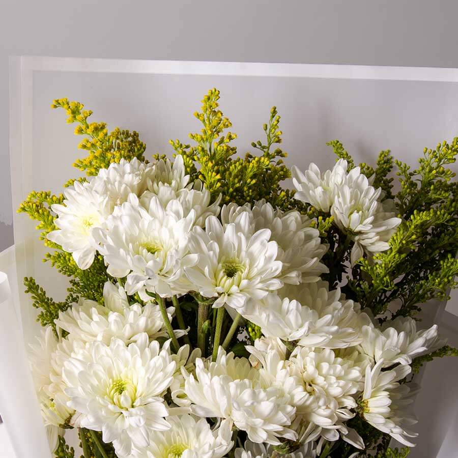 product-image-10826