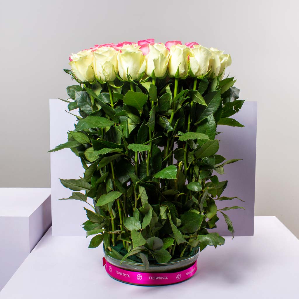 Rose Plants Flowrista Your Best Way to Same Day Flowers Delivery Online