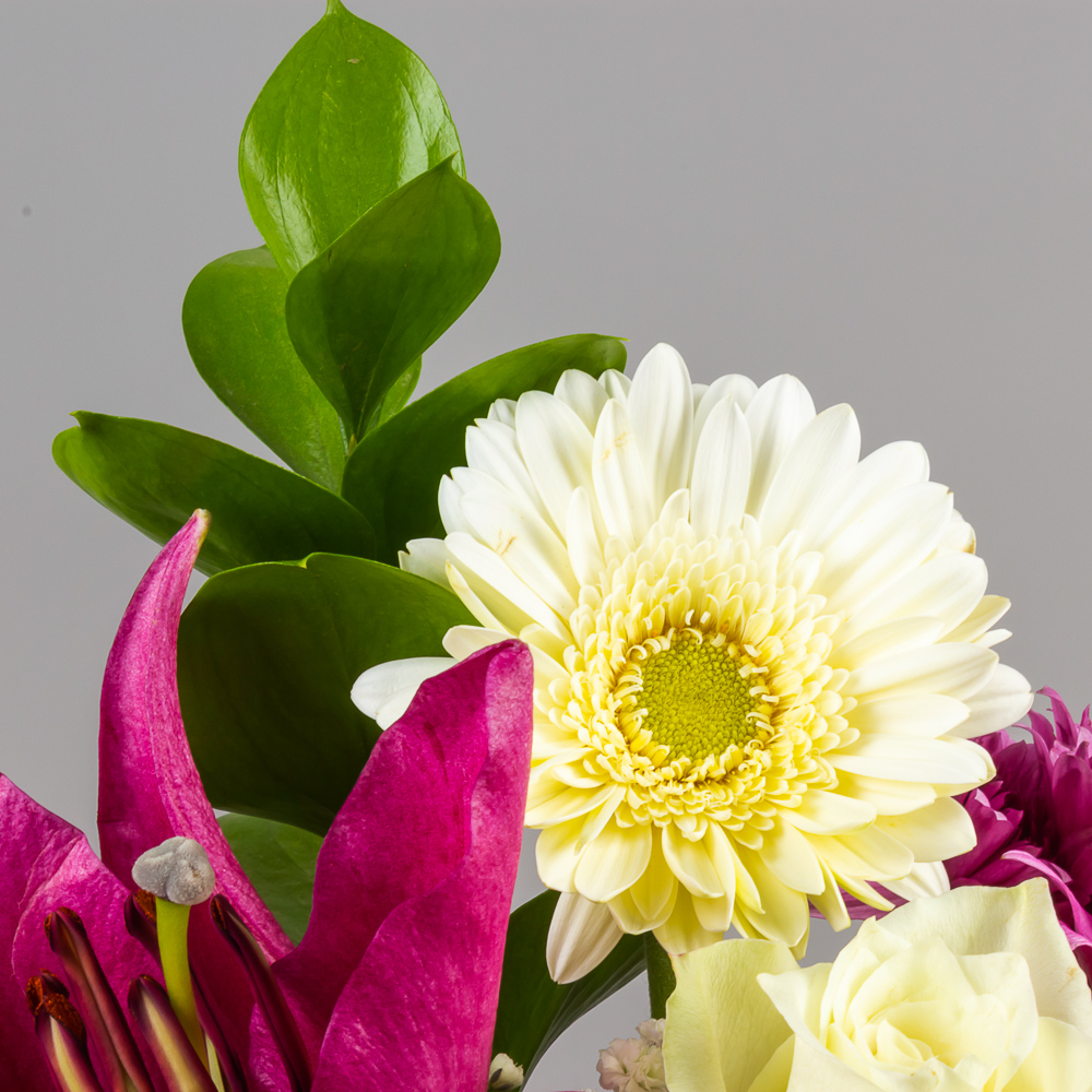 product-image-274