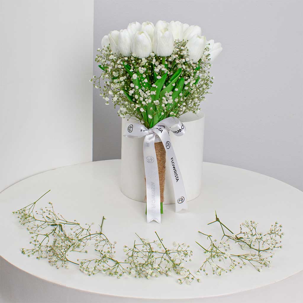 product-image-12021