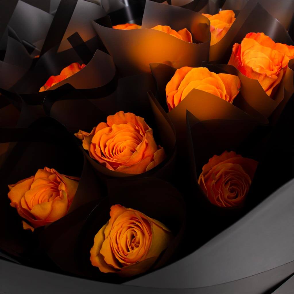 product-image-11740