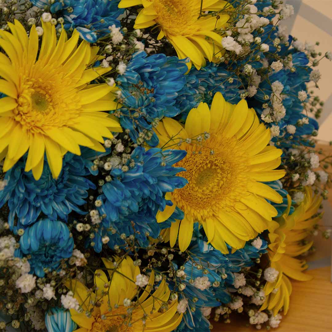 product-image-14154