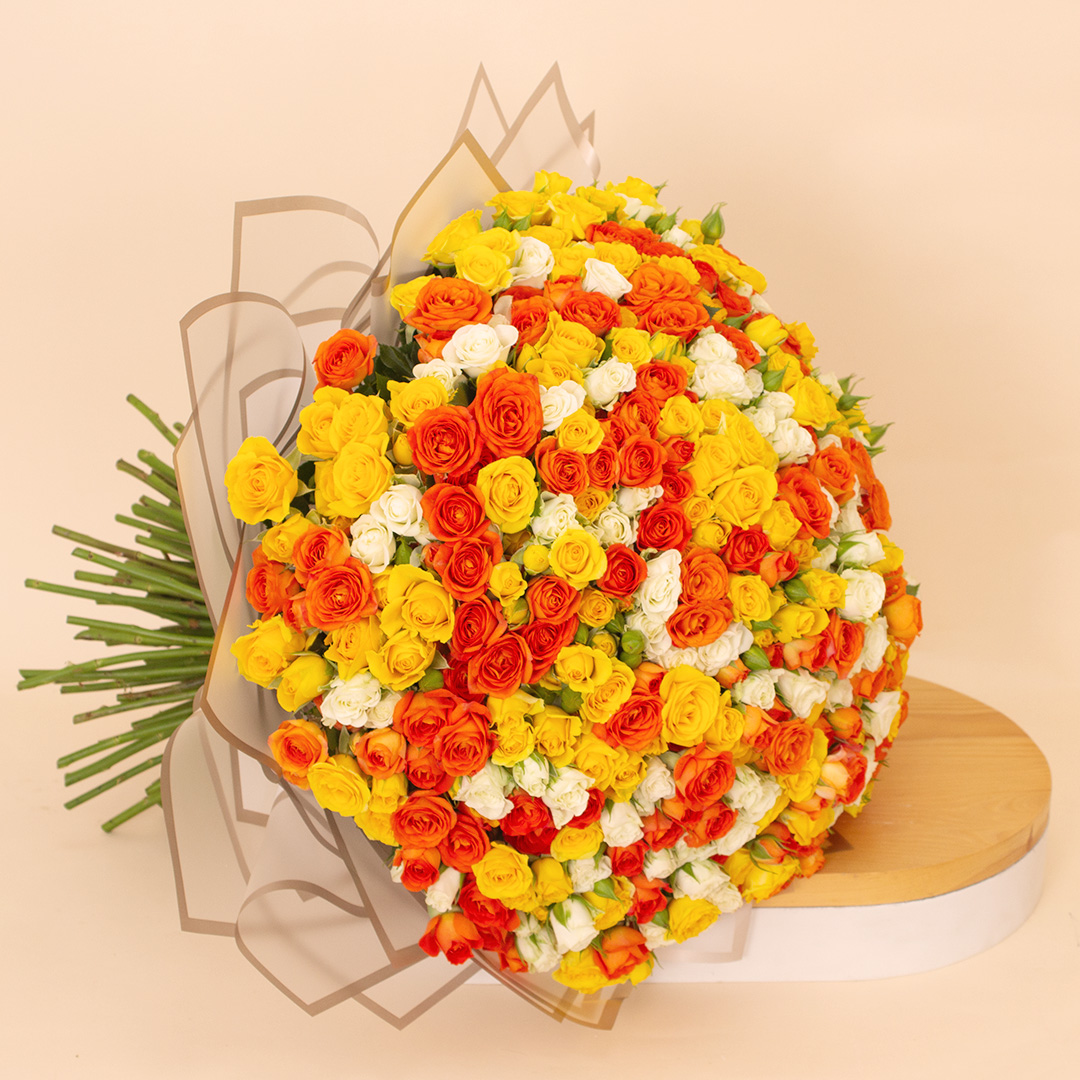 product-image-14116