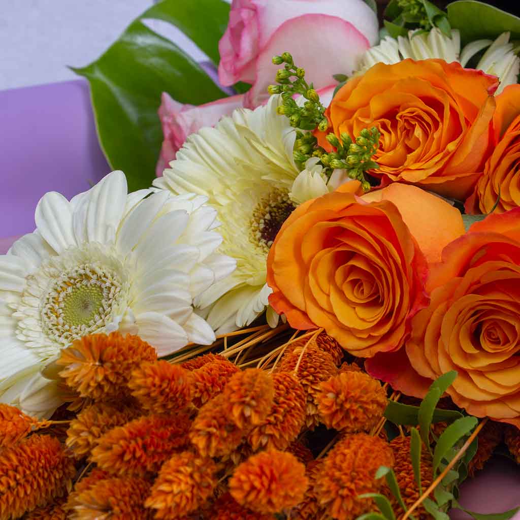 product-image-11852