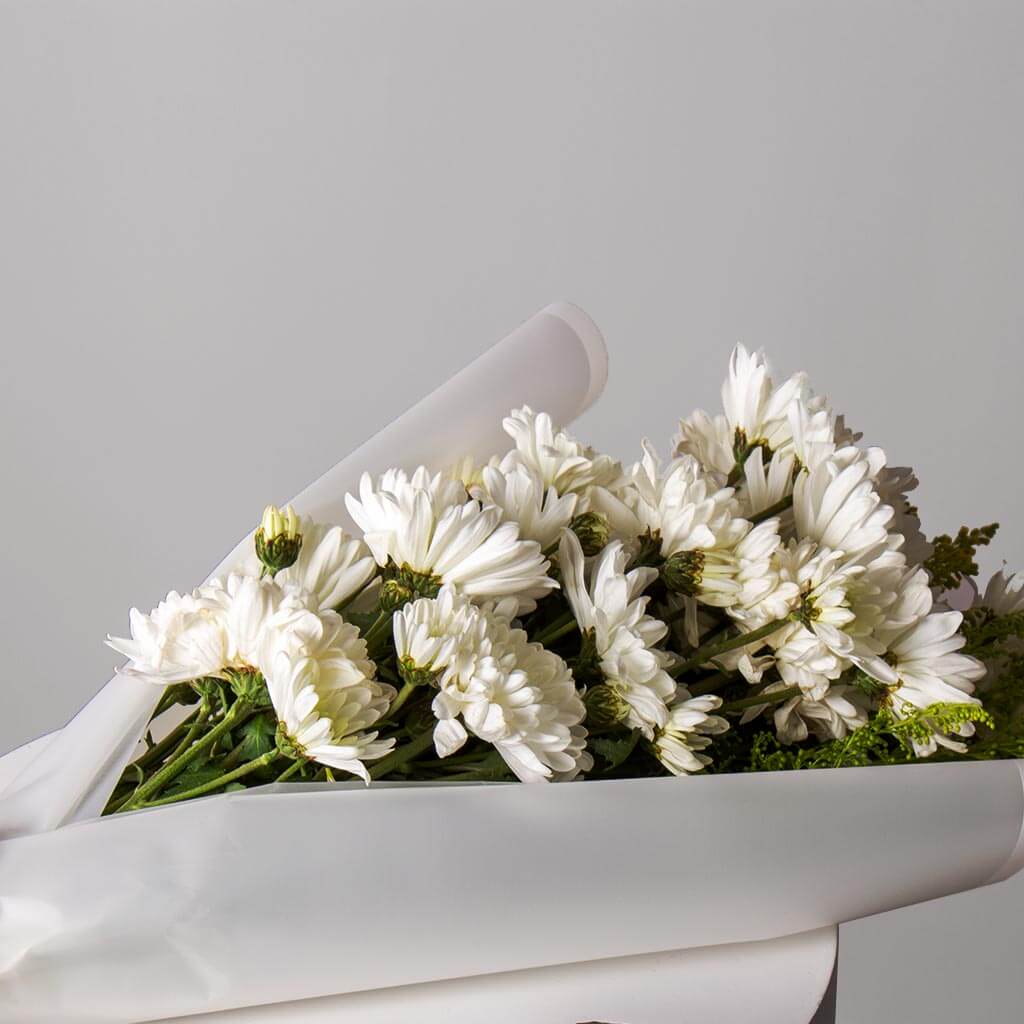 product-image-10832