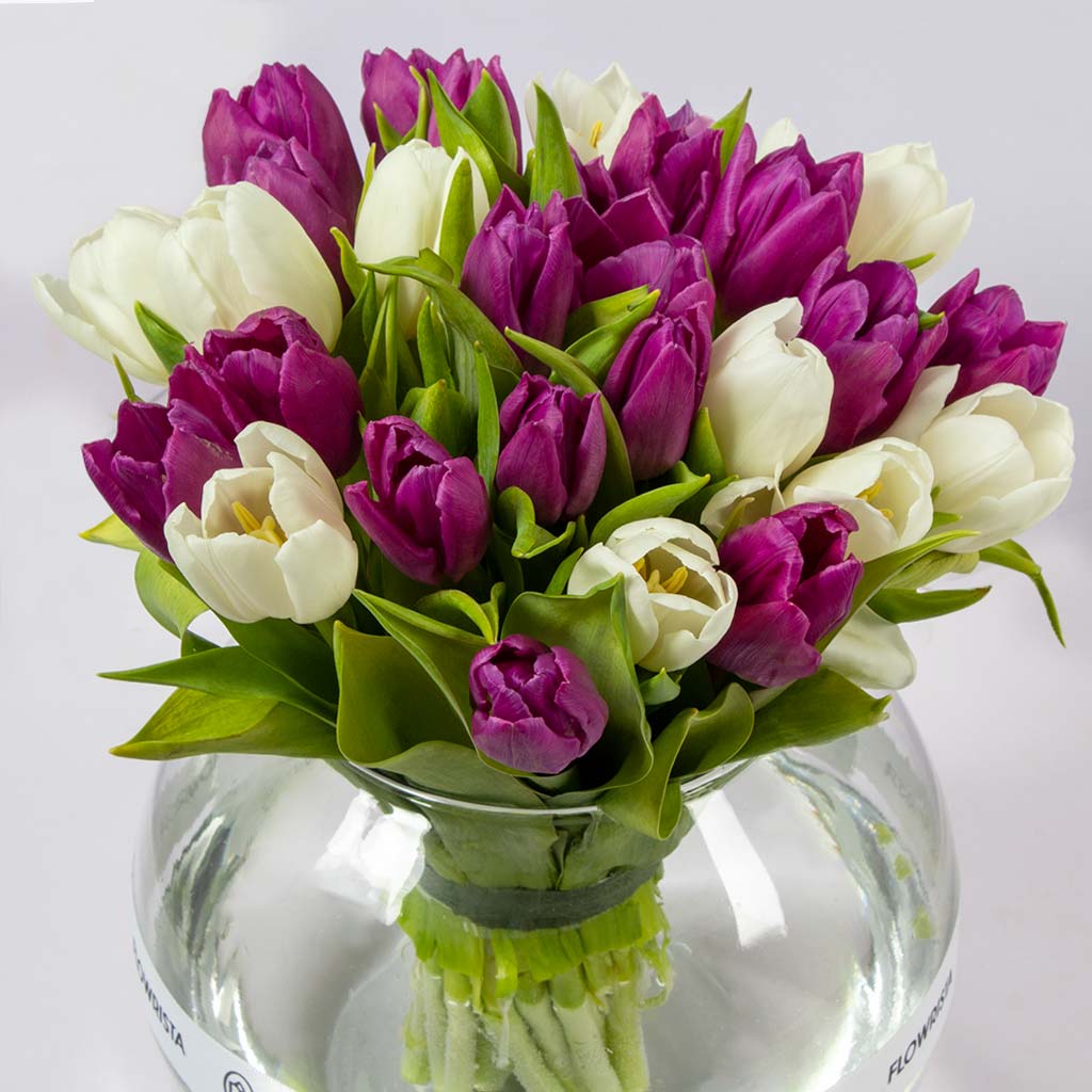 product-image-40