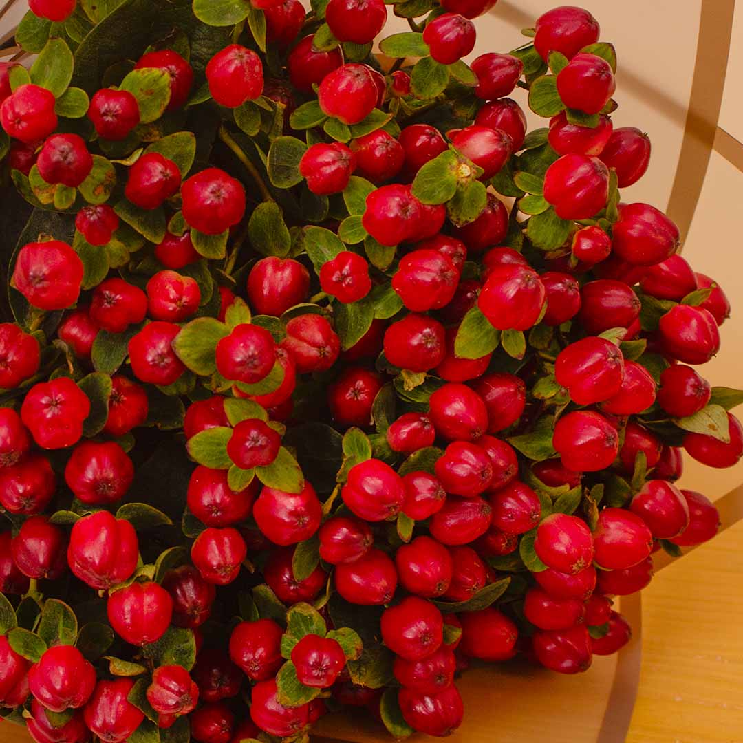 product-image-14148