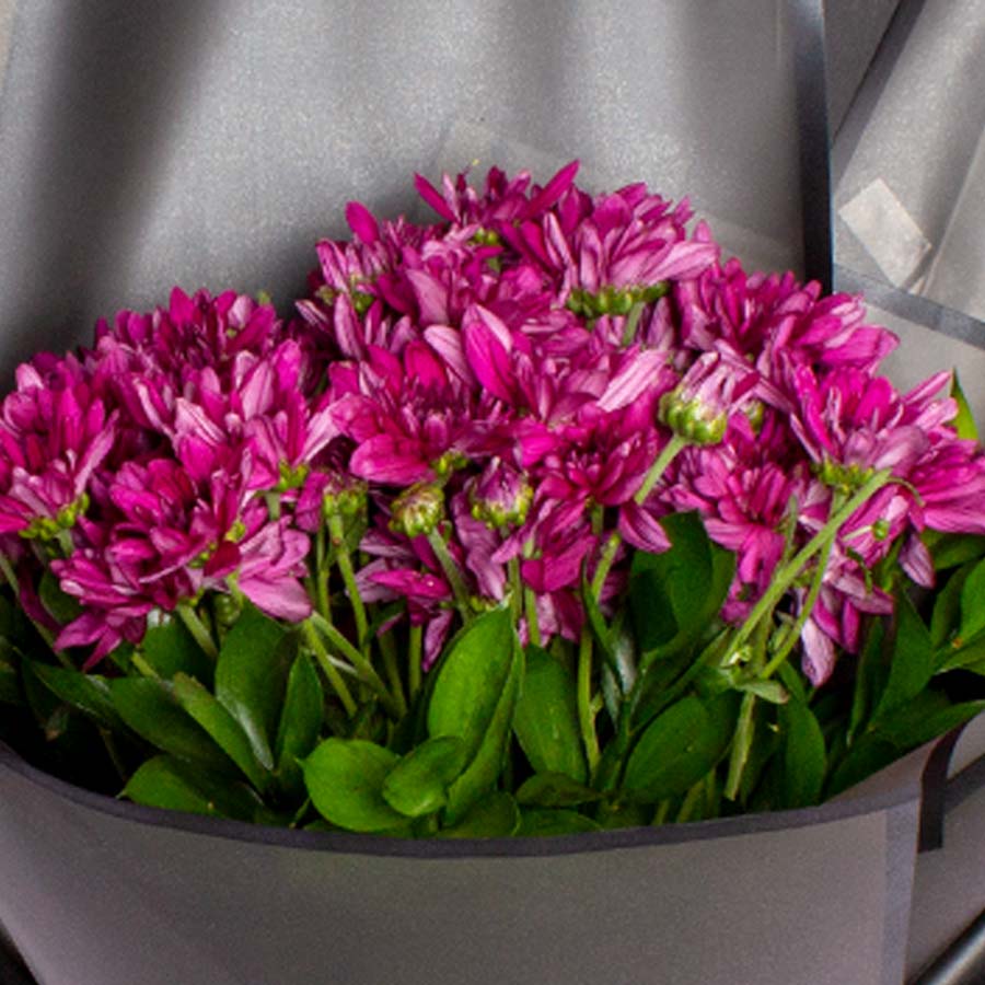 product-image-409