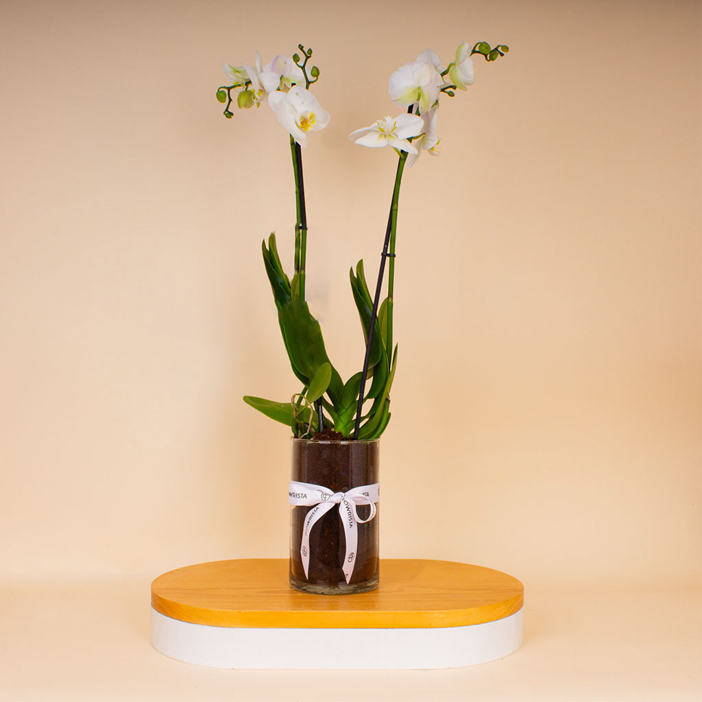 product-image-14343