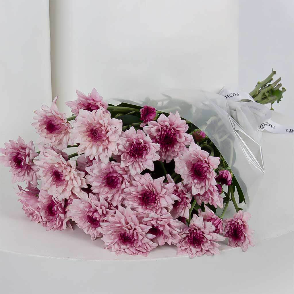 product-image-11436
