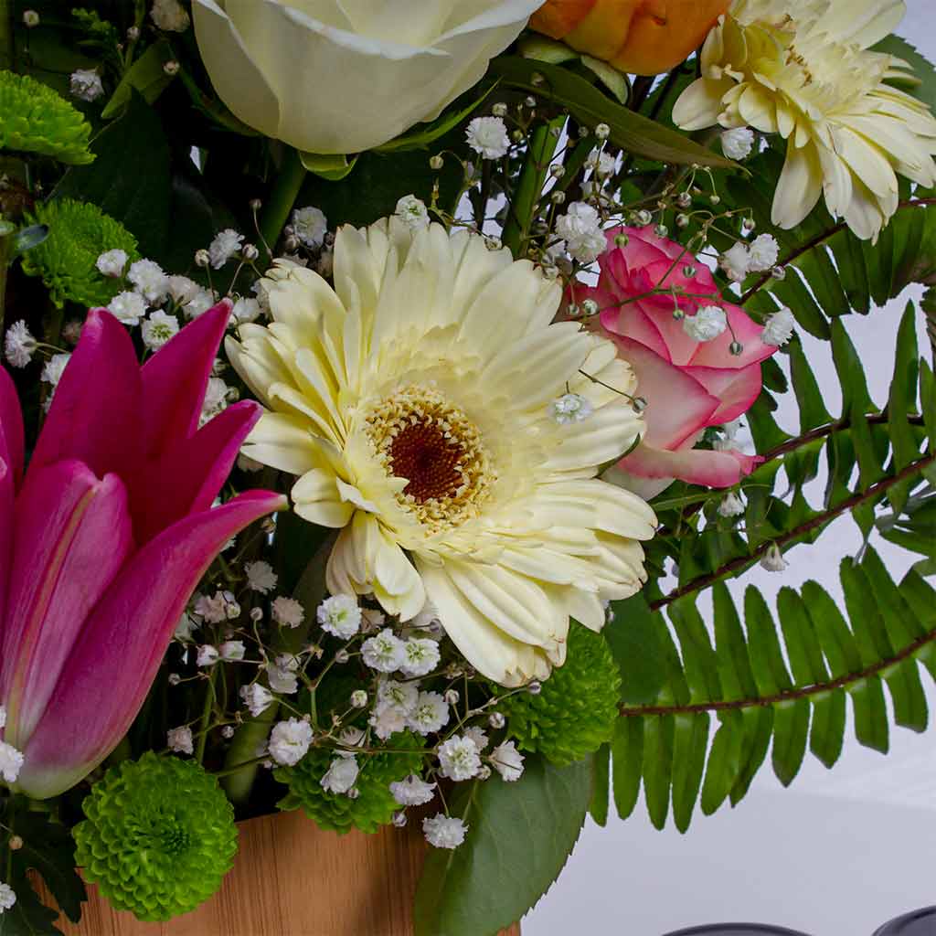 product-image-11862