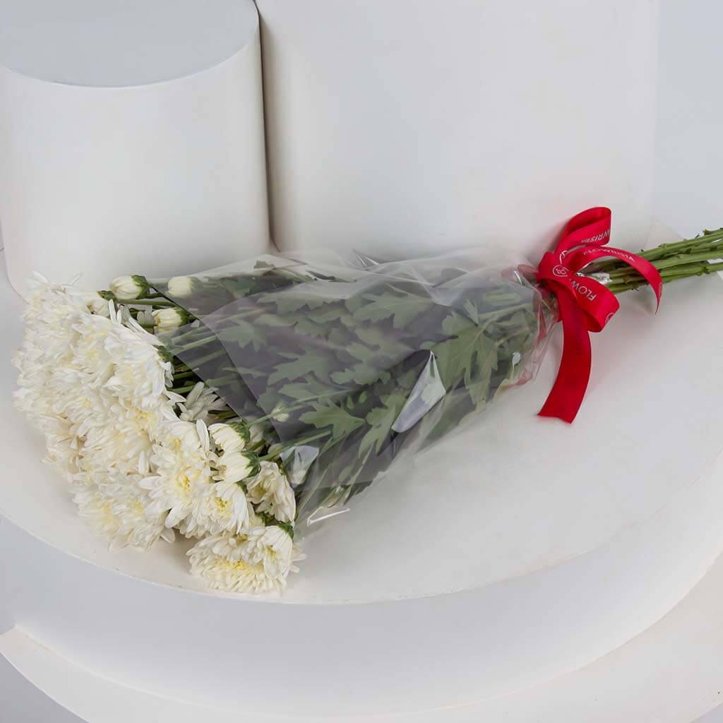product-image-11435