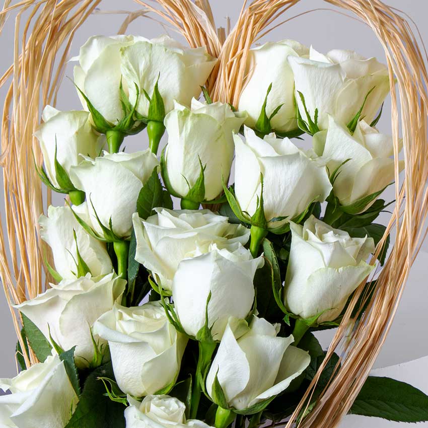 product-image-10764