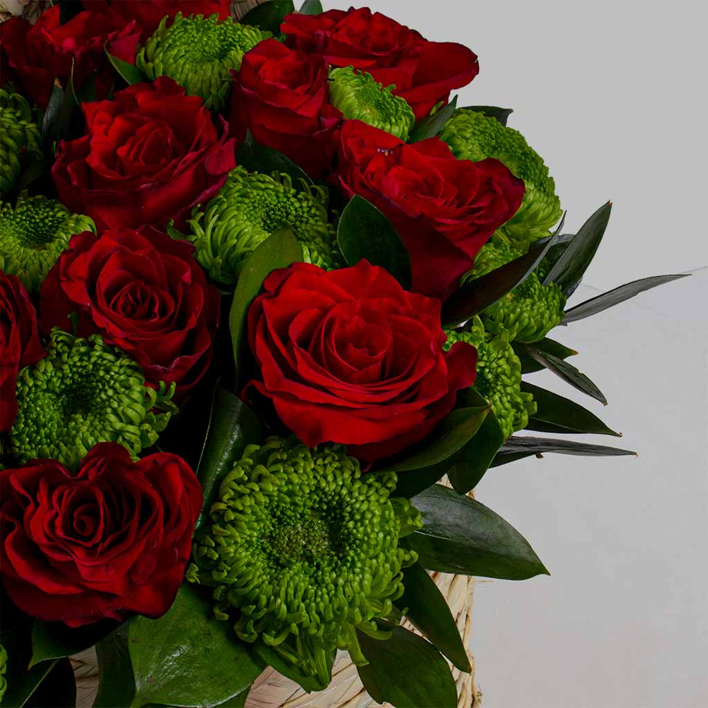 product-image-11788