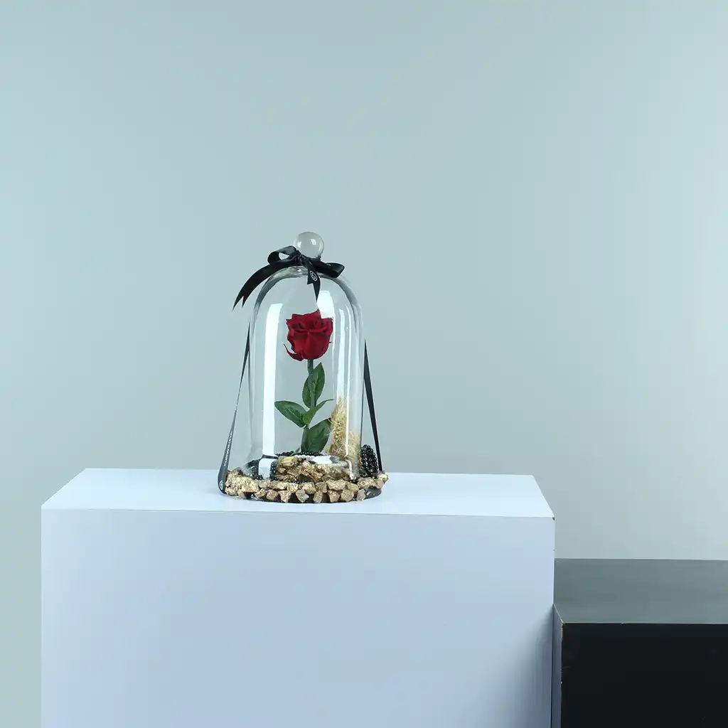 Eternity Rose