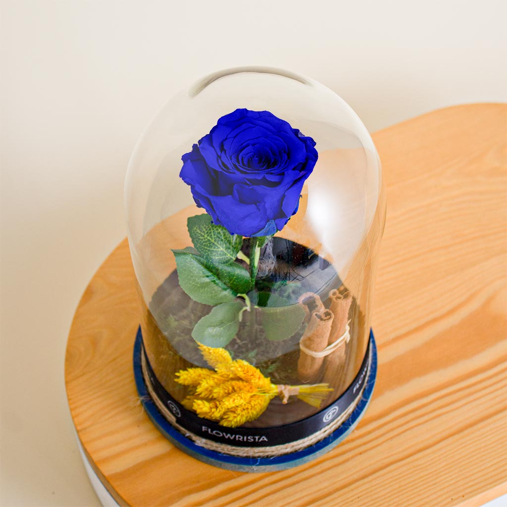 product-image-12180