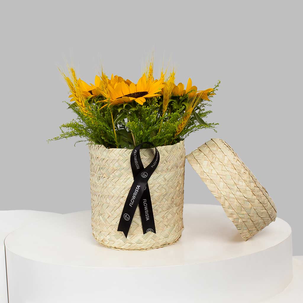 product-image-11591