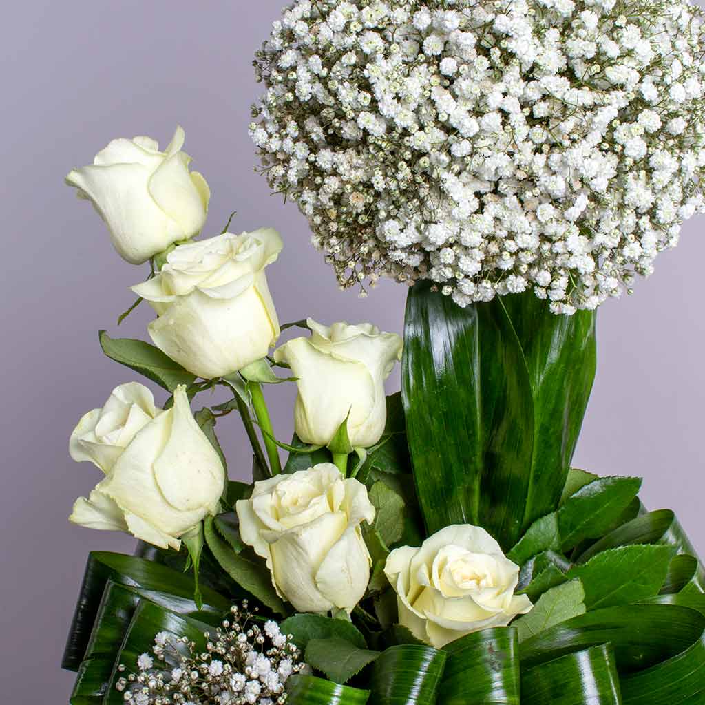 product-image-458