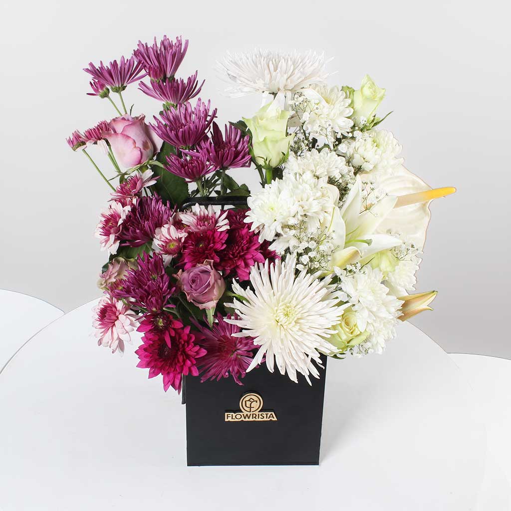 product-image-11262