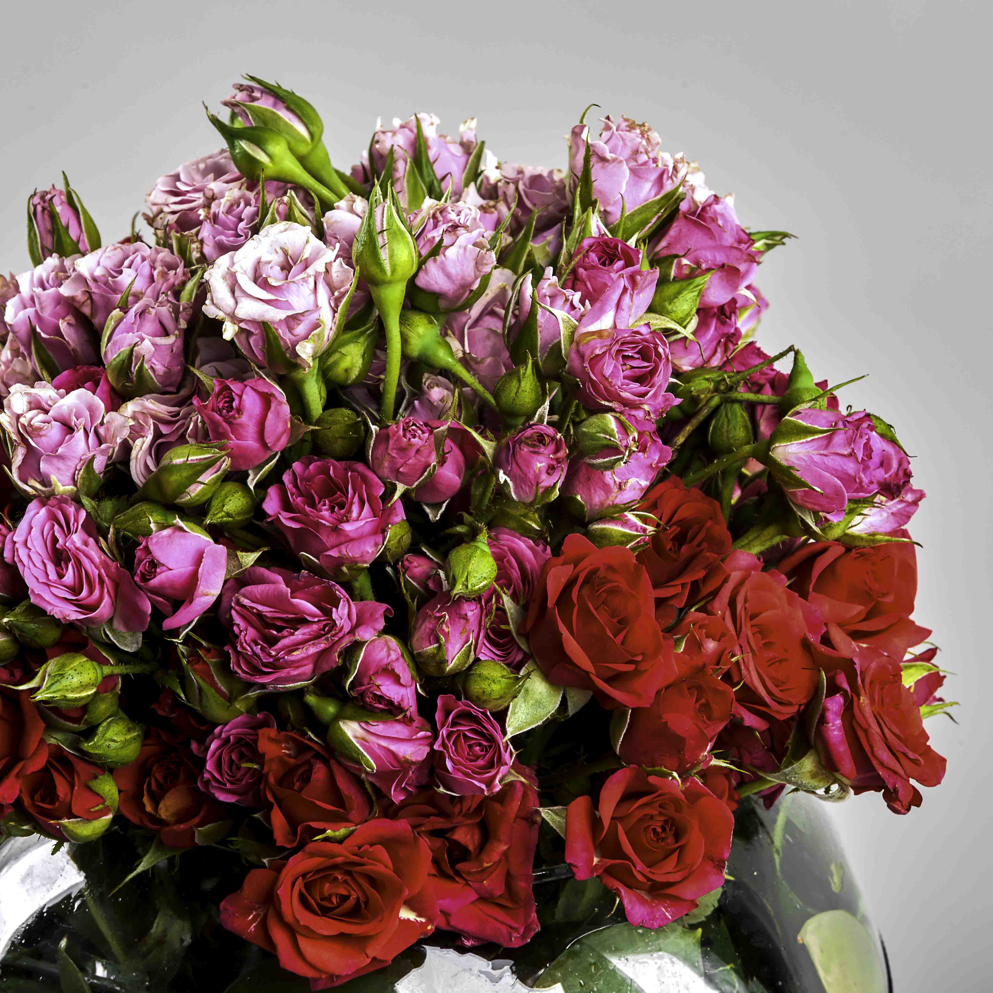 product-image-134