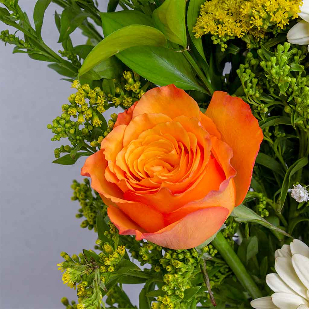 product-image-11843