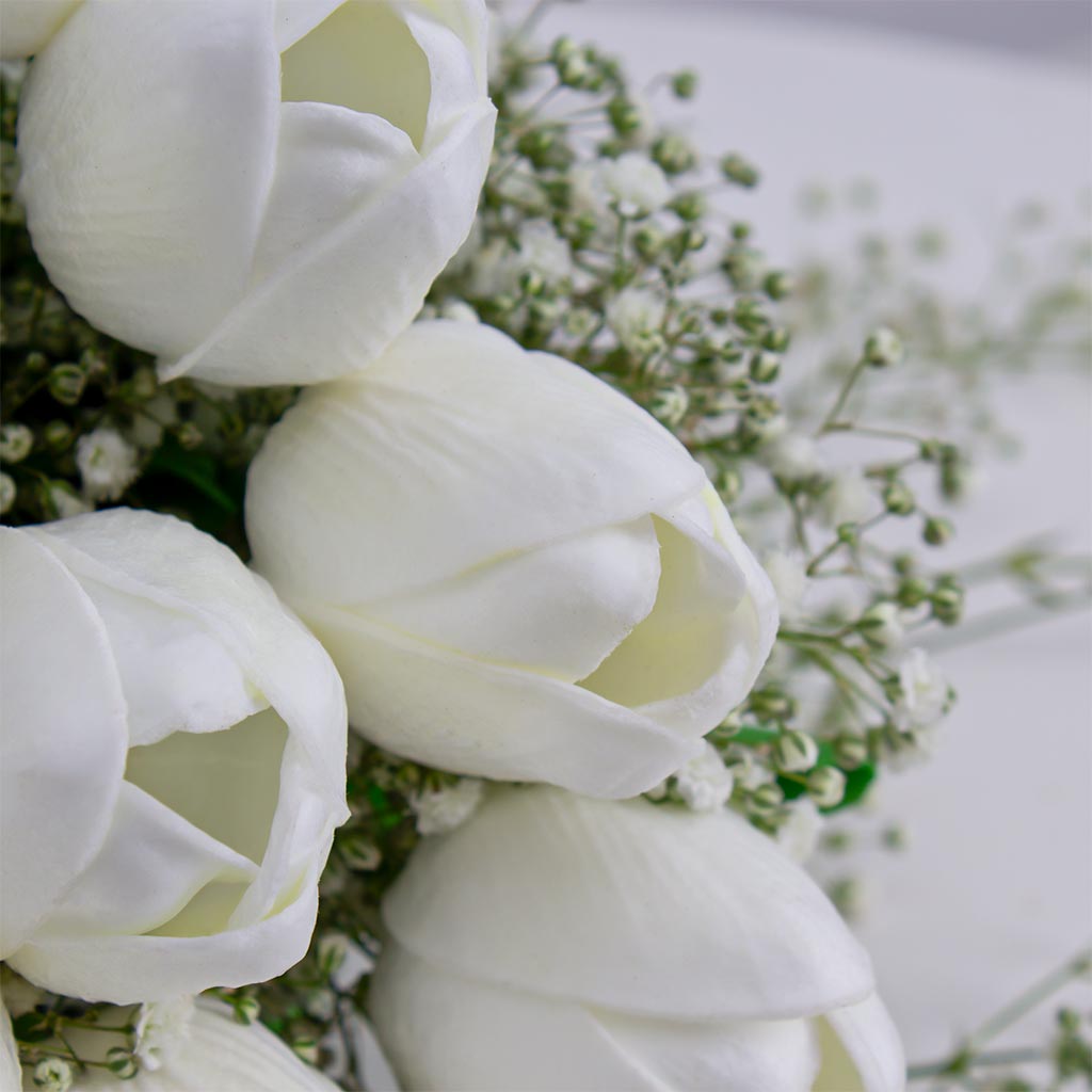 product-image-12021