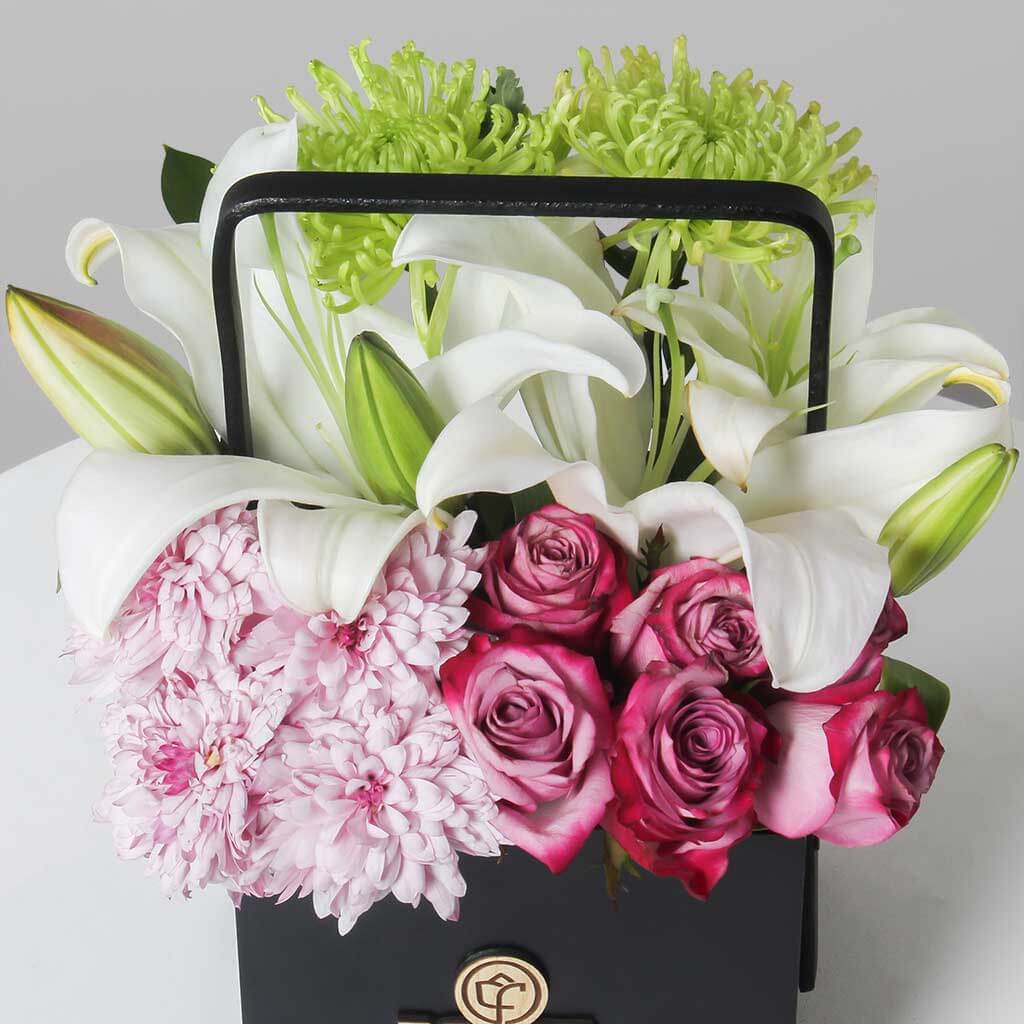 product-image-11250