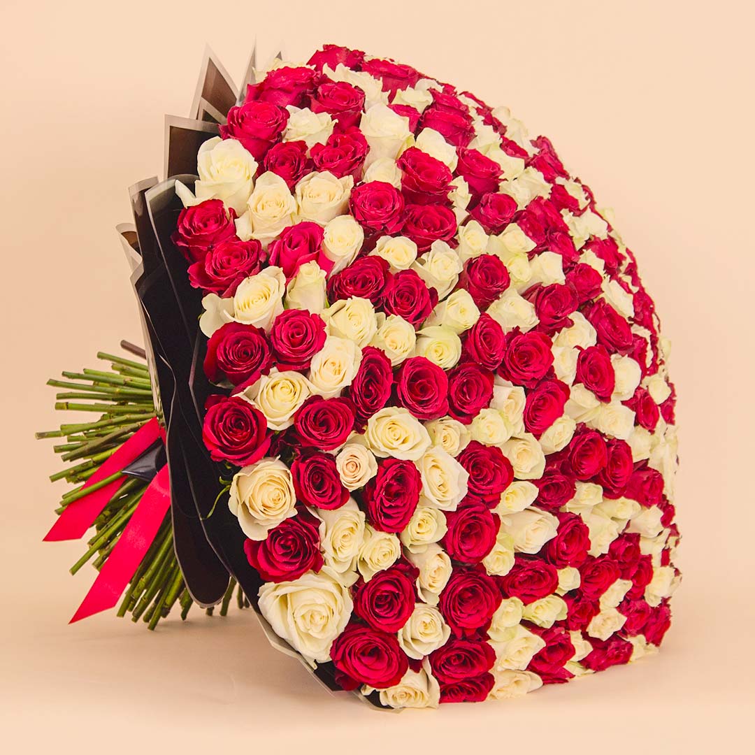 product-image-14153