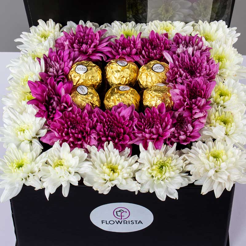 product-image-10666
