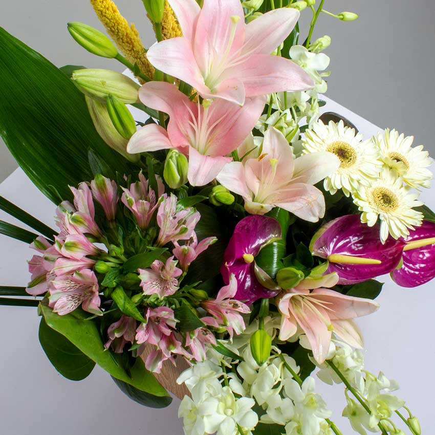 product-image-10663