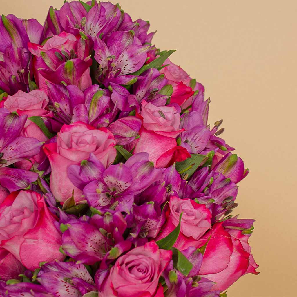 product-image-13548