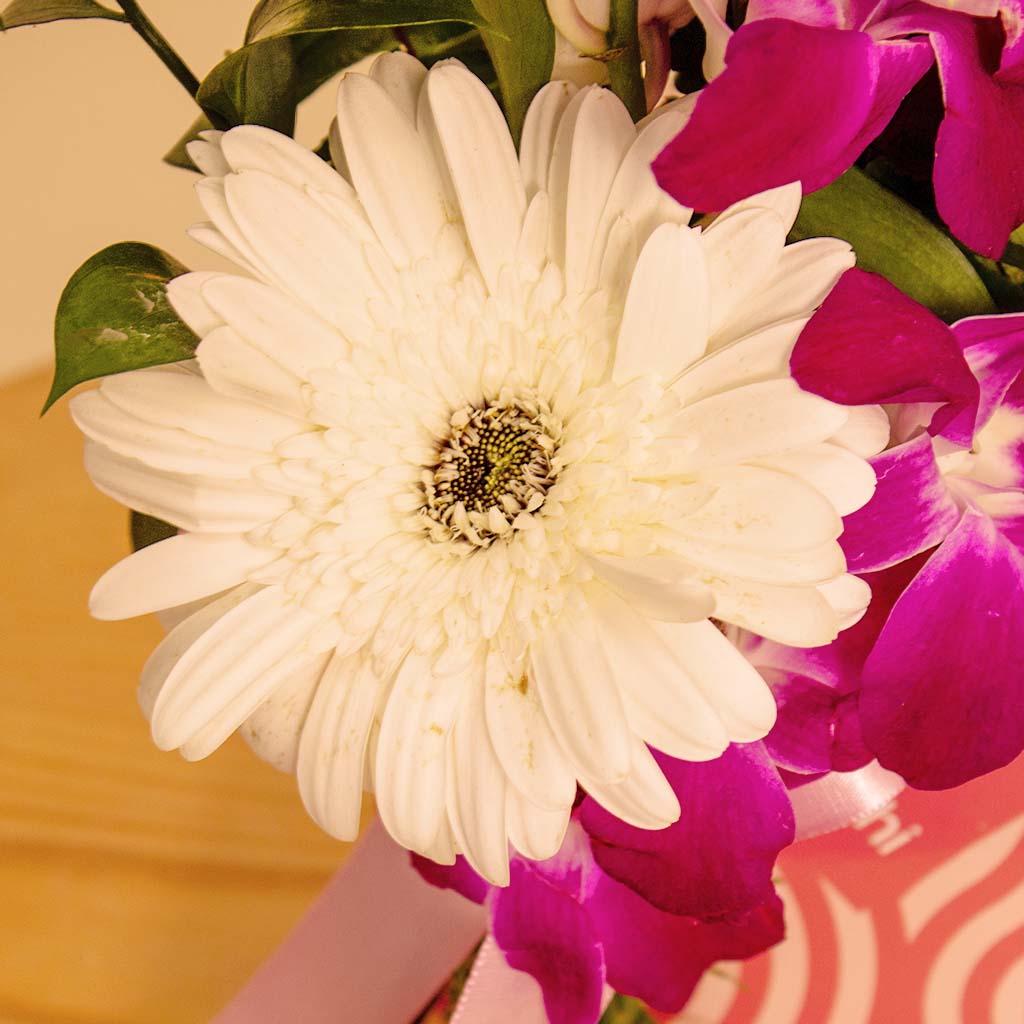 product-image-13815