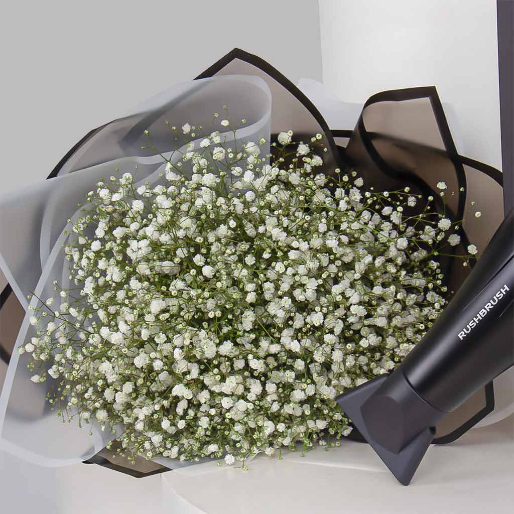 product-image-11509