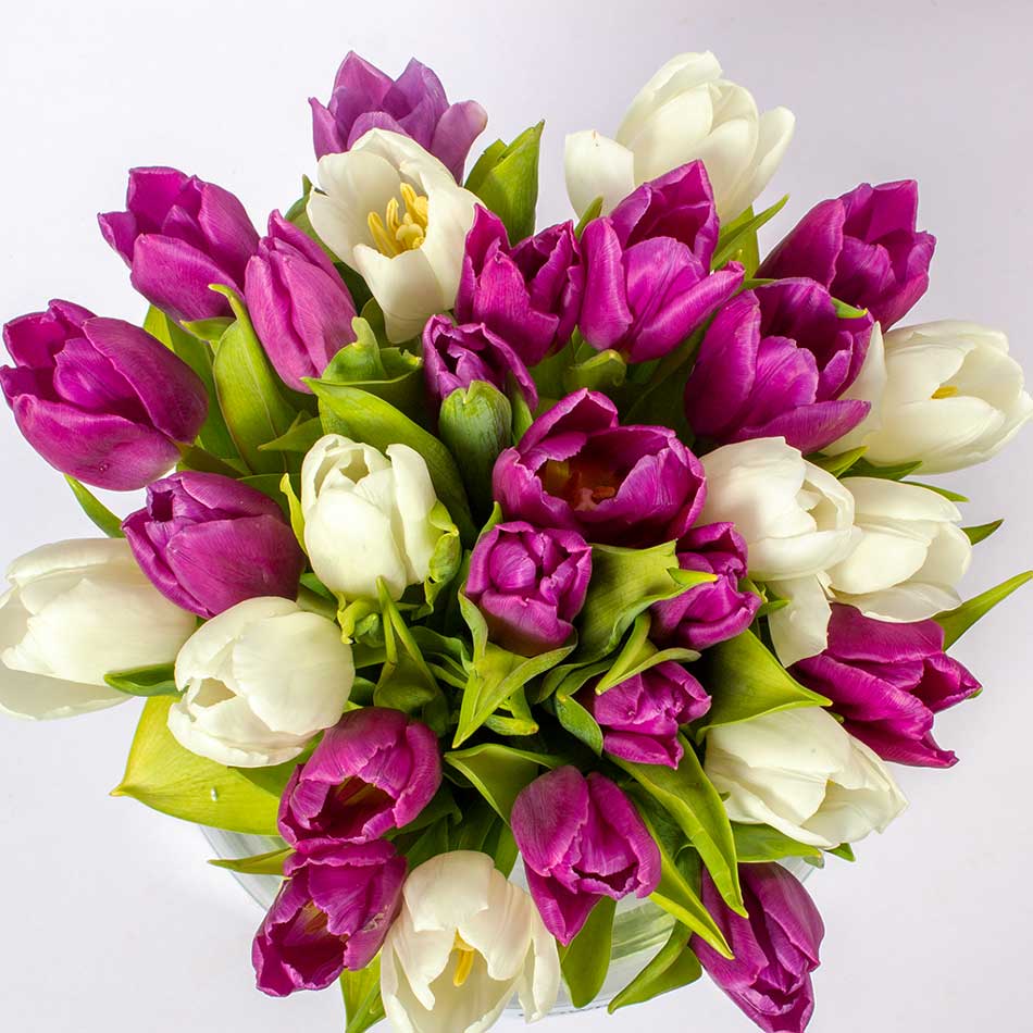 product-image-40