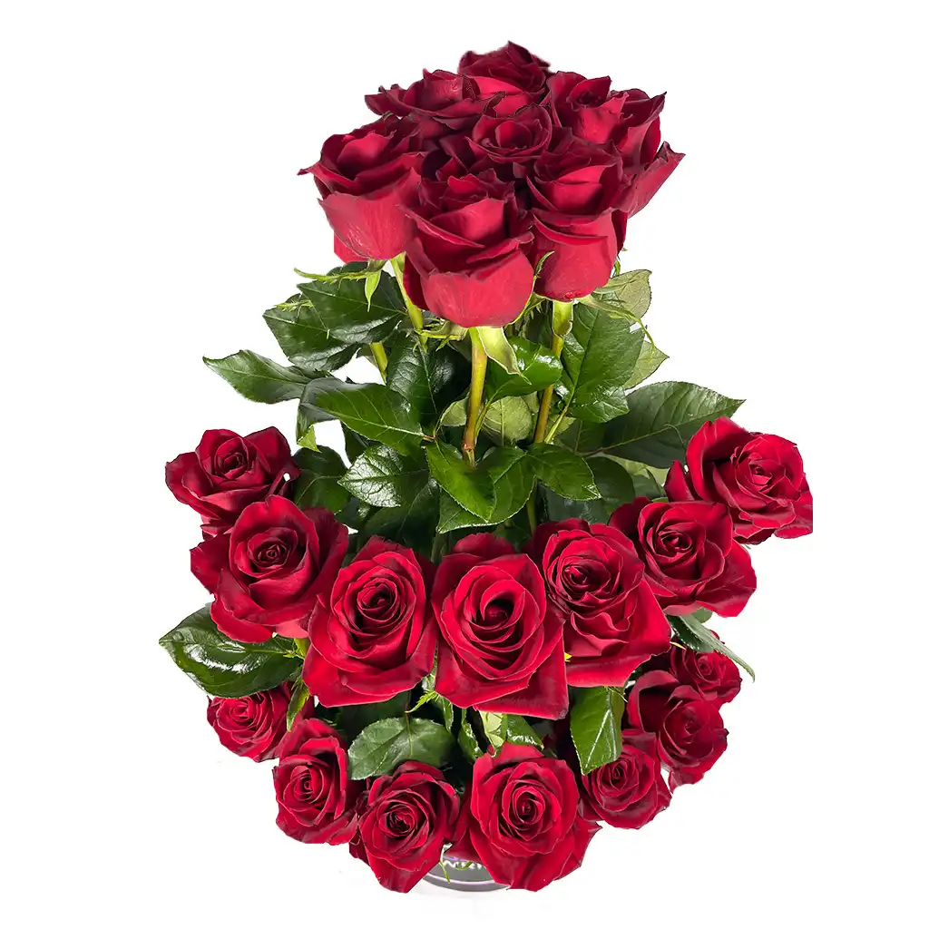 Roman Roses Box III