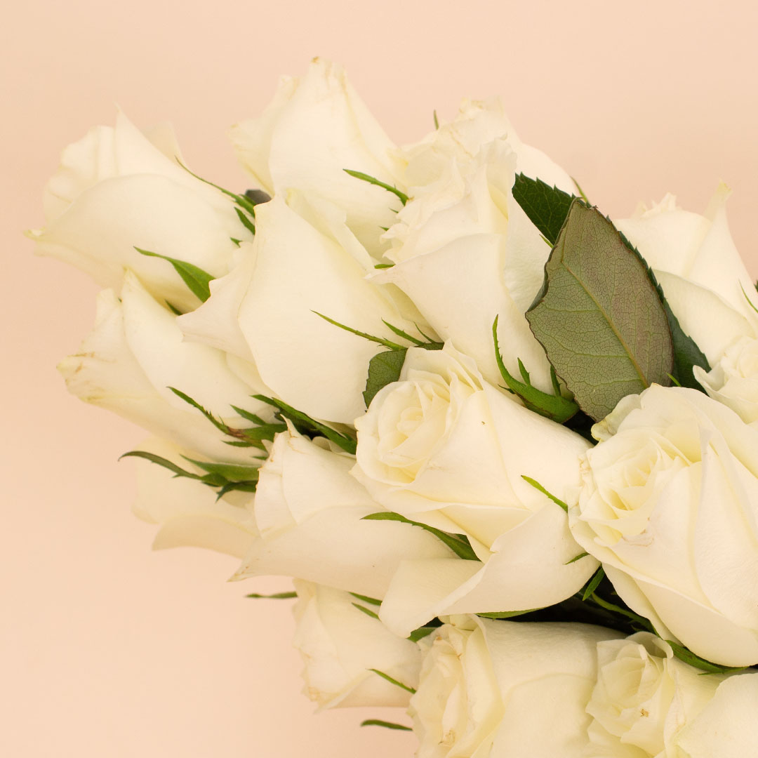 product-image-14108