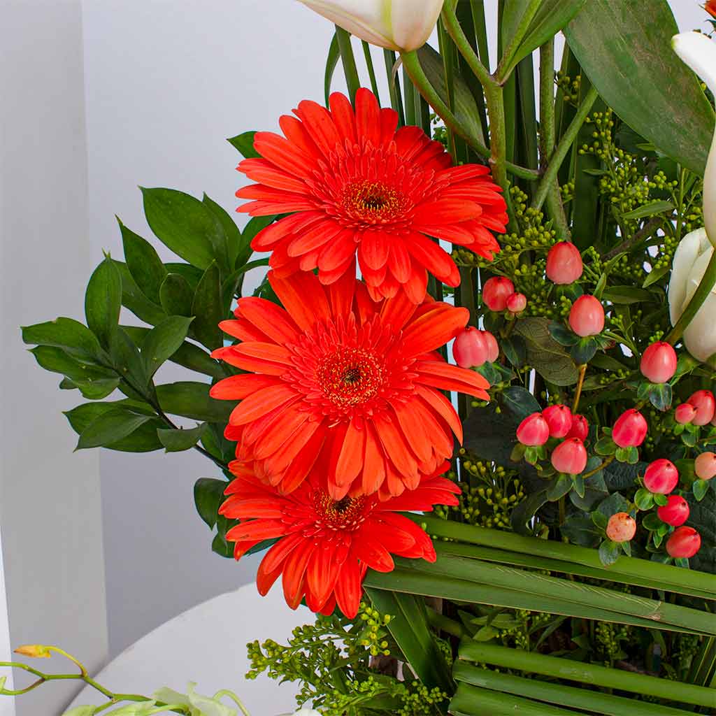product-image-12032