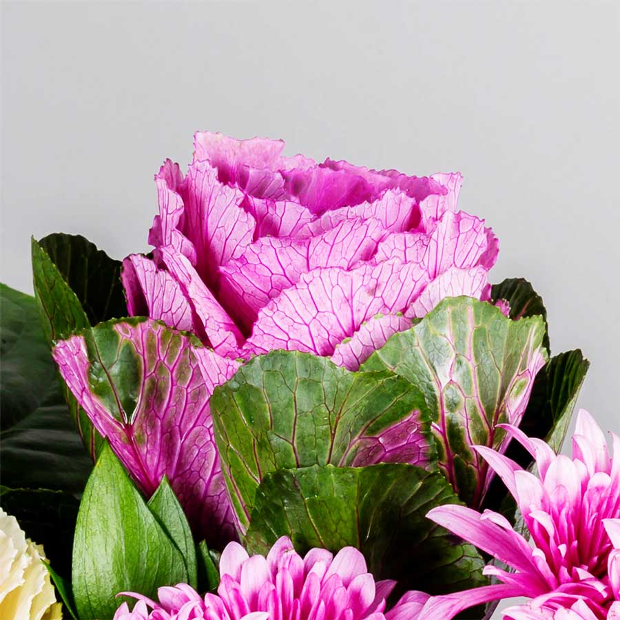 product-image-293
