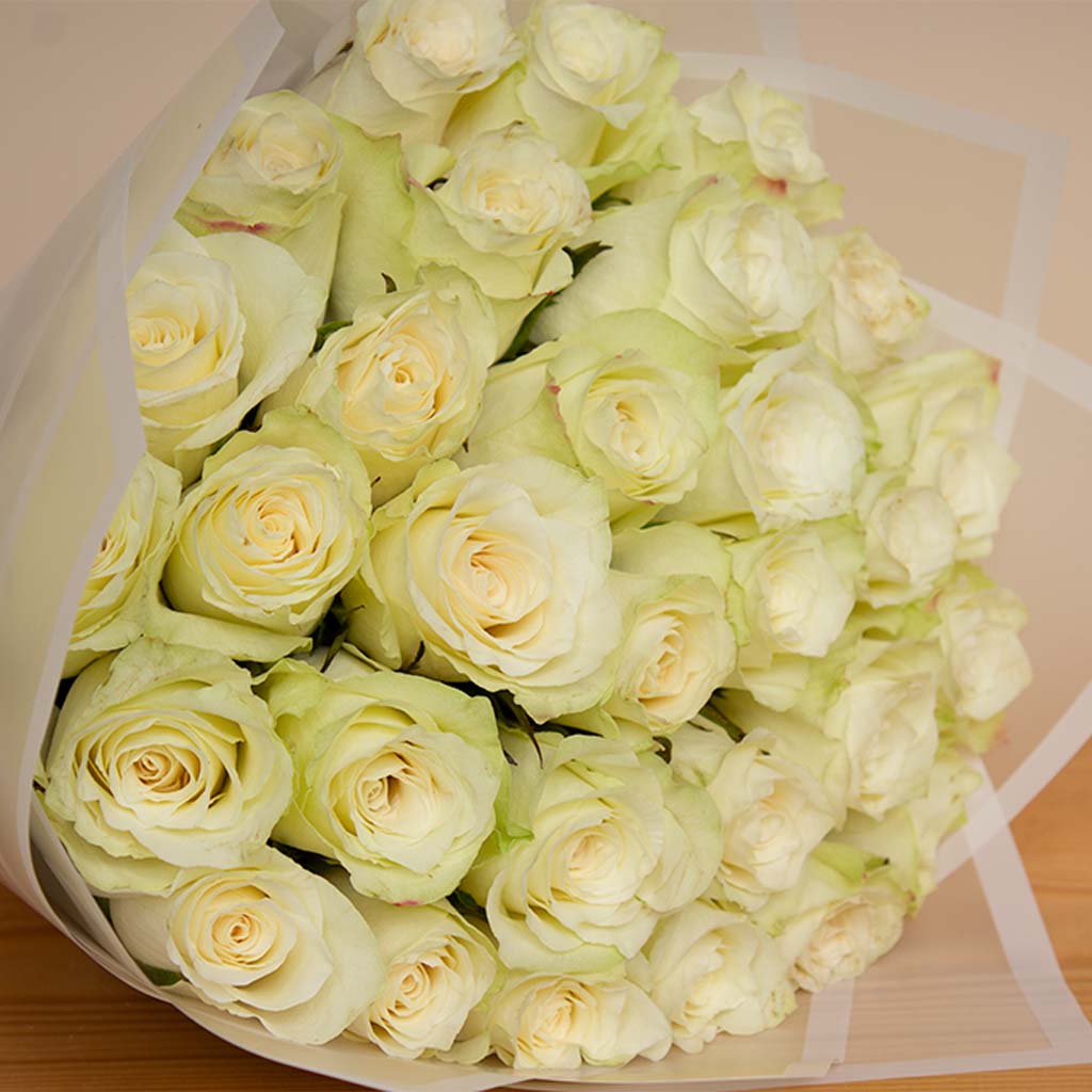 product-image-11940